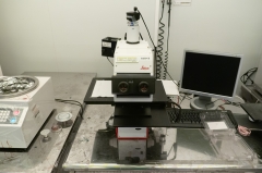 Optical Microscope